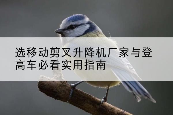 灵川电动升降机厂家-选移动剪叉升降机厂家与登高车必看实用指南