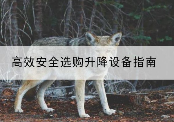 灵川升降货梯厂家推荐-*安全选购升降设备指南