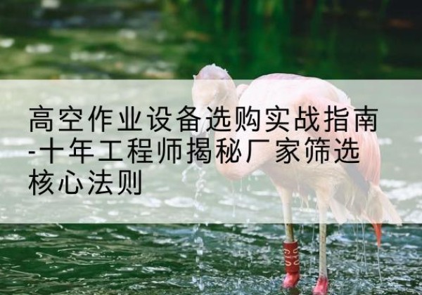 灵川剪叉式升降机厂家-高空作业设备选购实战指南-十年工程师揭秘厂家筛选核心法则